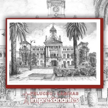 Ayuntamiento de Málaga - Felucho
