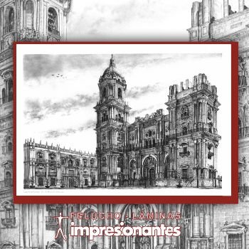 Catedral de Málaga - Felucho