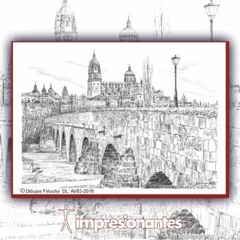 Puente Romano de Salamanca - Felucho
