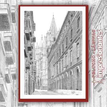 Vista de la Catedral de León - Felucho