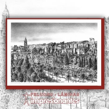Vista Panorámica de Málaga - Felucho