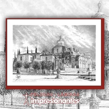 Catedral de Valladolid - Felucho