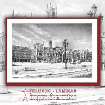 Plaza mayor de Valladolid - Felucho