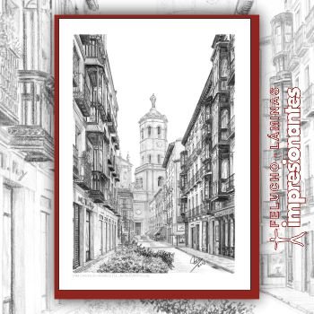 Vista de la catedral de Valladolid - Felucho