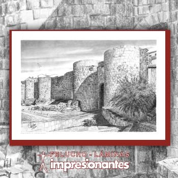 Muralla de Zamora - Felucho