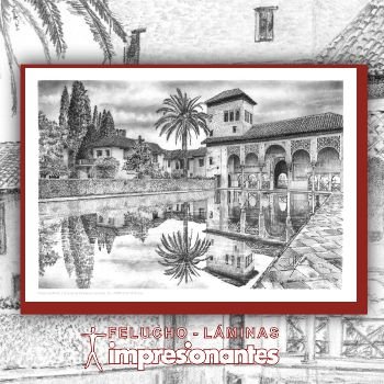 Palacio del Partal de Granada - Felucho