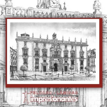 Real Chancillería de Granada - Felucho