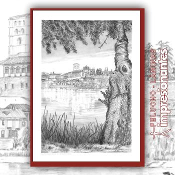 Vista de Zamora - Felucho