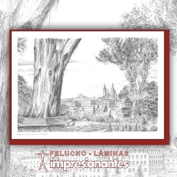 Vista de Santiago de Compostela - Felucho