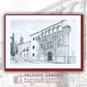 Universidad de Baeza - Felucho