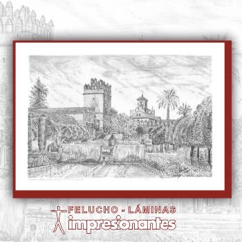 Alcázar de los Reyes Cristianos de Córdoba - Felucho