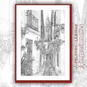 Calle de la Estrella de Córdoba - Felucho