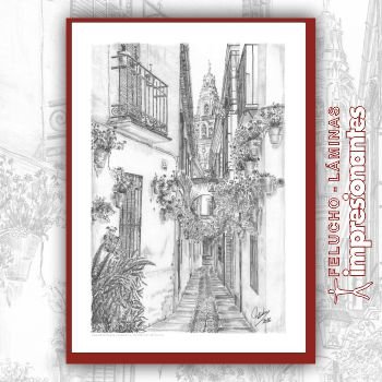 Calle de la Estrella de Córdoba - Felucho