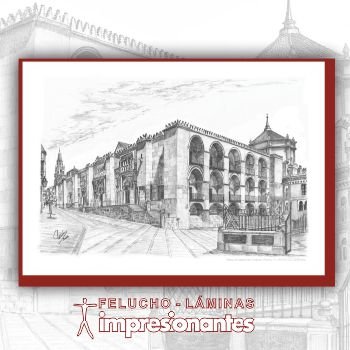 Exterior de la Mezquita-Catedral de Córdoba - Felucho