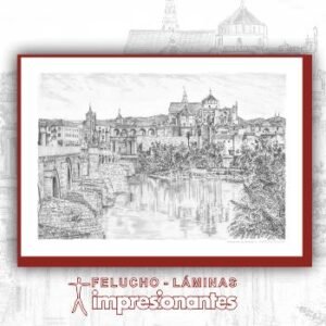 Vista general de Córdoba - Felucho